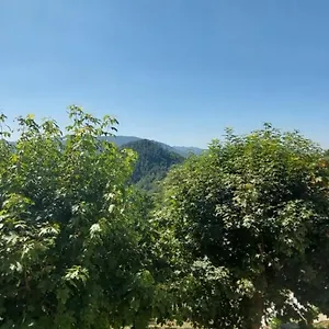 https://b-b-giu-dany.it-tuscanyhotel.com